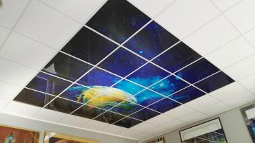 plexiglass